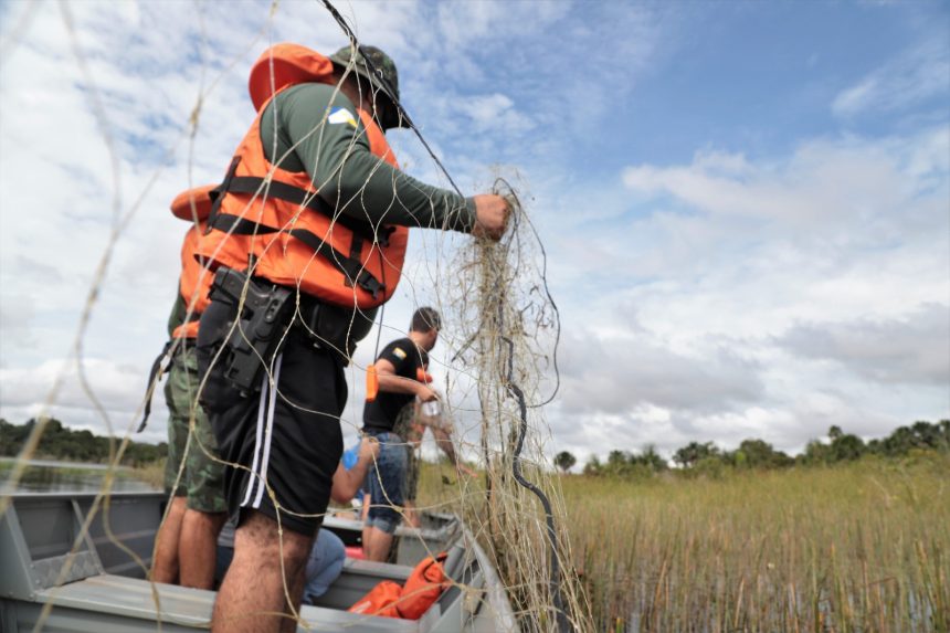 inicio-da-piracema:-fiscalizacao-ambiental-de-araguaina-intensifica-combate-a-pesca-predatoria