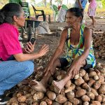 aleto-abre-nesta-terca-“somos-raimundas”,-exposicao-fotografica-que-retrata-as-quebradeiras-de-coco