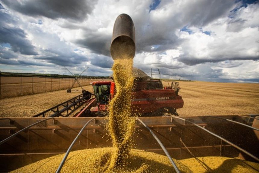 tecnicos-da-conab-realizam-levantamento-de-campo-para-estimar-a-proxima-safra-brasileira-de-graos