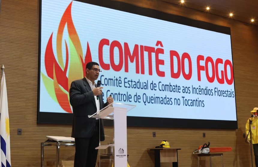 mpto-faz-alerta-sobre-controle-de-queimadas-no-tocantins