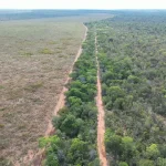 manifesto-publico-do-povo-apinaje-contra-desmatamentos-em-area-reivindicada-pela-comunidade-indigena