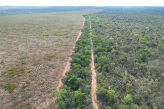 manifesto-publico-do-povo-apinaje-contra-desmatamentos-em-area-reivindicada-pela-comunidade-indigena