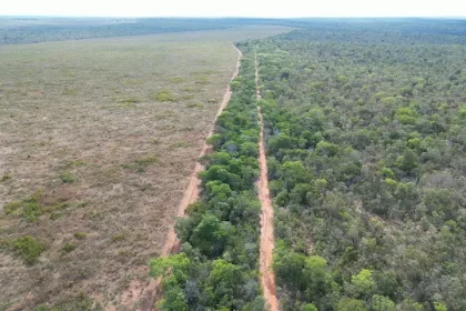manifesto-publico-do-povo-apinaje-contra-desmatamentos-em-area-reivindicada-pela-comunidade-indigena