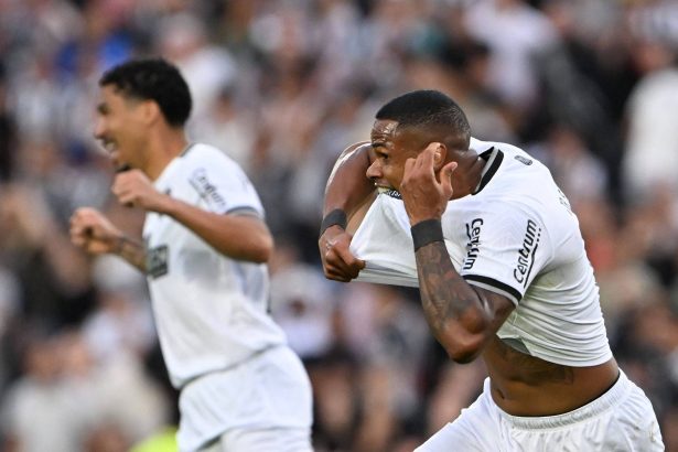 botafogo-ganha-seu-titulo-maior