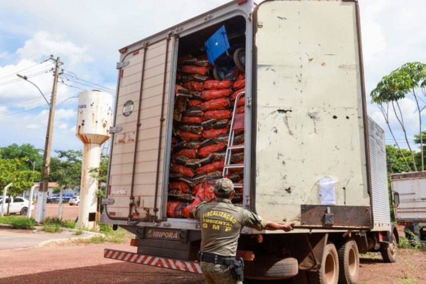 caminhao-com-carga-irregular-de-carvao-e-apreendido-em-palmas;-subinspetor-fala-em-problema-recorrente