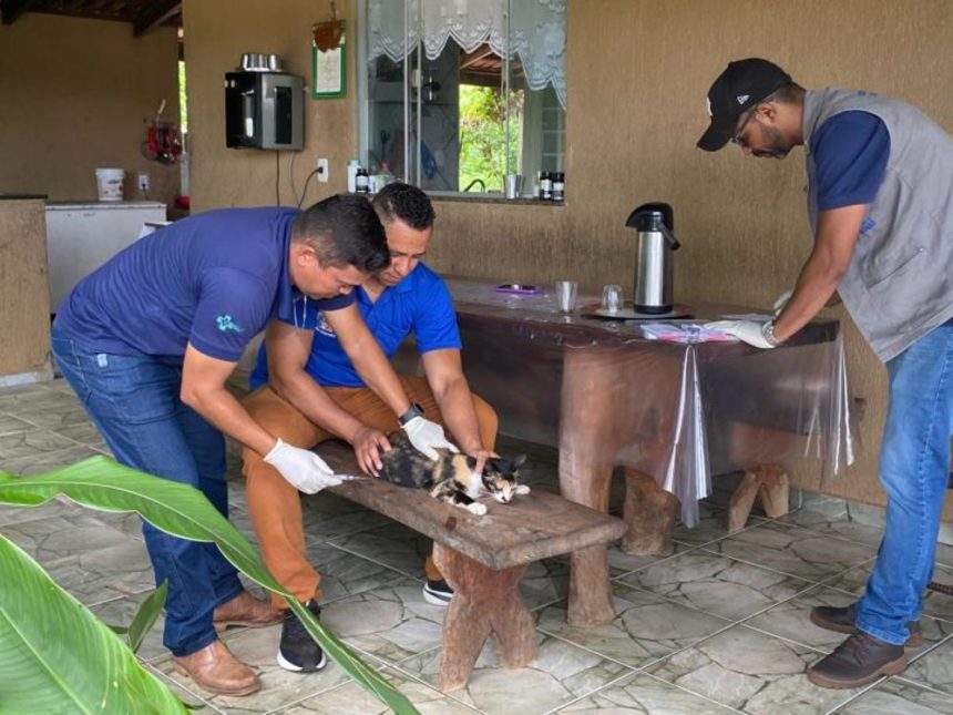 saude-de-palmas-retoma-imunizacao-antirrabica-na-zona-rural