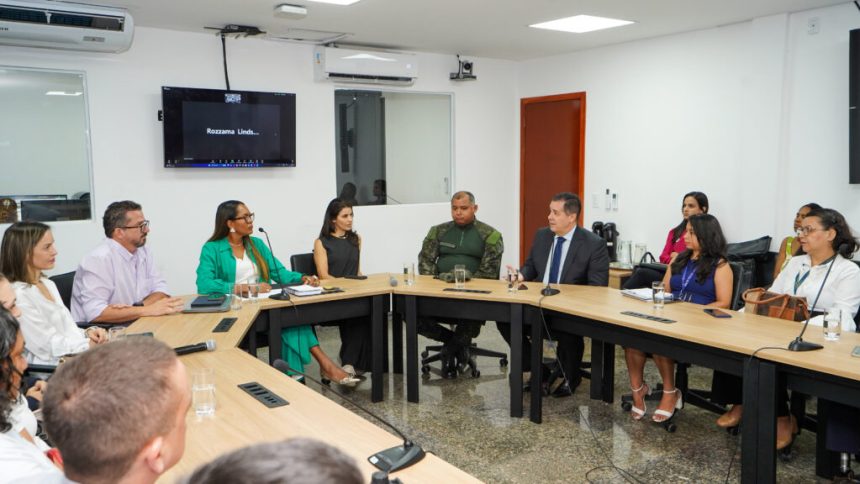 mp-participa-de-reuniao-sobre-implantacao-de-disk-maus-tratos-no-tocantins