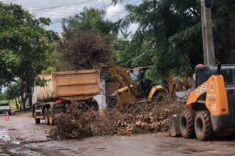 mutiroes-da-prefeitura-dao-nova-cara-a-bairros-e-recolheram-mais-de-16-mil-metros-cubicos-de-entulho-so-em-janeiro-;-eduardo-siqueira:-“vamos-resgatar-a-alegria-de-viver-em-palmas”