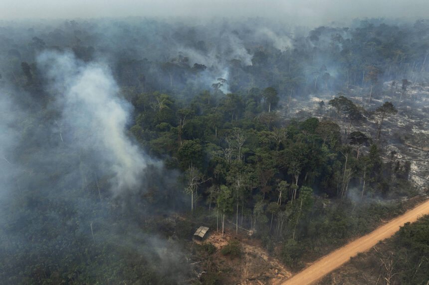 covering-climate-now-abre-inscricoes-para-premio-de-jornalismo