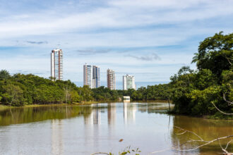 laudo-descarta-morte-por-febre-amarela-e-raiva-em-corpo-de-macaco-encontrado-no-parque-cesamar