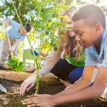 pl-do-deputado-gipao-visa-criar-disciplina-de-educacao-ambiental-na-rede-estadual-de-educacao