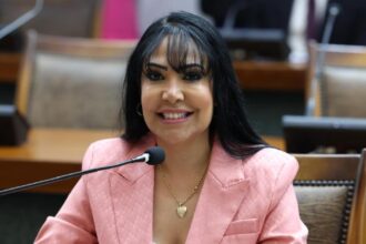 empreendedorismo-feminino-e-jovem-recebe-atencao-em-proposicao-da-deputada-janad-valcari-na-aleto