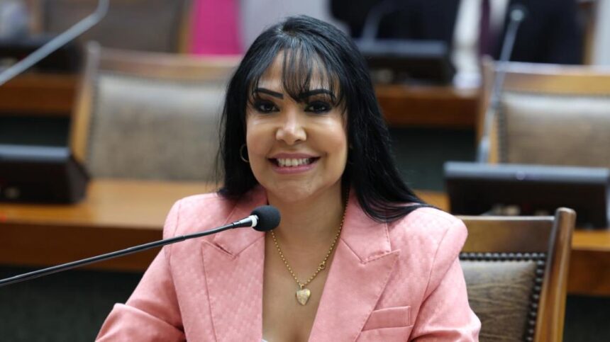 empreendedorismo-feminino-e-jovem-recebe-atencao-em-proposicao-da-deputada-janad-valcari-na-aleto