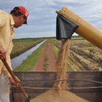 tocantins-e-o-3o-estado-que-mais-cresceu-no-valor-da-producao-agricola-entre-2018-e-2023
