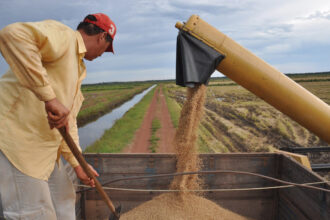 tocantins-e-o-3o-estado-que-mais-cresceu-no-valor-da-producao-agricola-entre-2018-e-2023