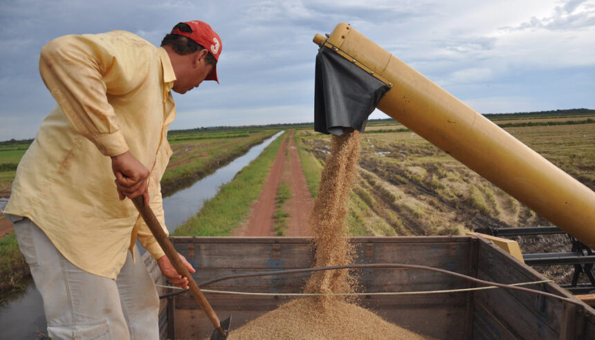 tocantins-e-o-3o-estado-que-mais-cresceu-no-valor-da-producao-agricola-entre-2018-e-2023