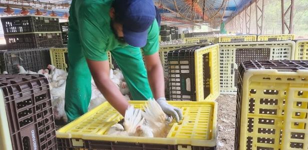 jbs-e-autuada-por-trabalho-analogo-ao-escravo-na-producao-de-frango-no-rs