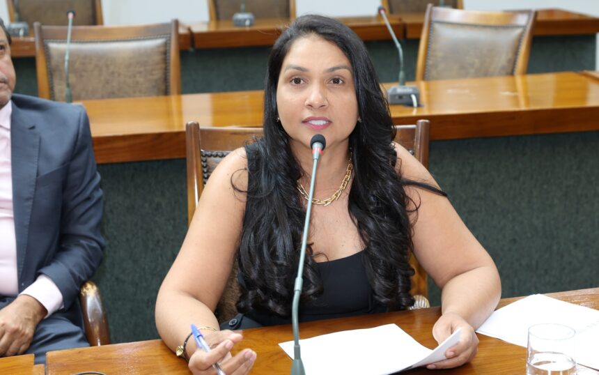 deputada-vanda-monteiro-propoe-programa-de-assistencia-as-vitimas-de-violencia