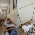 vistoria-aponta-problemas-no-hgp;-saude-diz-que-trabalha-na-contratacao-de-empresa-de-limpeza 