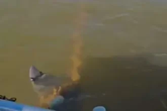 video-mostra-boto-preso-em-malhadeira-no-rio-araguaia-e-preocupa-internautas