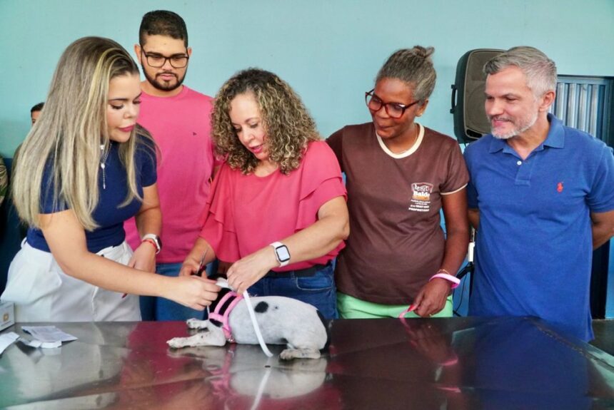 gurupi-amplia-programa-de-encoleiramento-canino-e-passa-a-cobrir-toda-a-zona-urbana