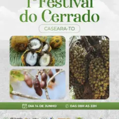 mulheres-agroextrativistas-realizam-1o-festival-do-cerrado-em-caseara