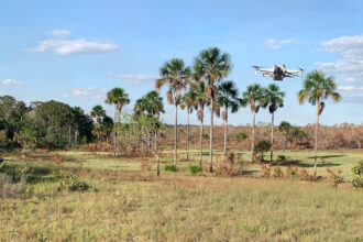 governo-realiza-georreferenciamento-de-campos-de-capim-dourado-do-territorio-kraho