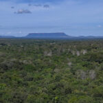 novo-boletim-distingue-que-70%-do-desmatamento-no-tocantins-e-legal-e-30%-ilegal
