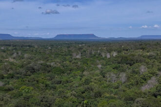 novo-boletim-distingue-que-70%-do-desmatamento-no-tocantins-e-legal-e-30%-ilegal