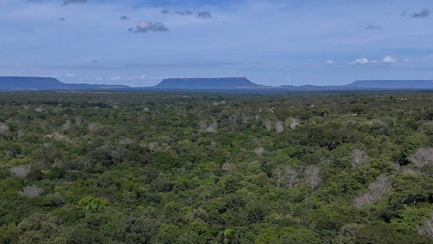 novo-boletim-distingue-que-70%-do-desmatamento-no-tocantins-e-legal-e-30%-ilegal