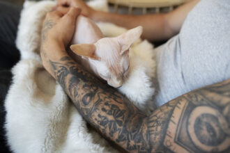 presidente-em-exercicio-sanciona-lei-que-proibe-tatuagens-e-piercings-em-caes-e-gatos