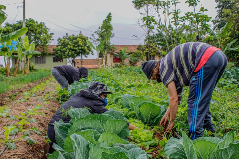 sancionada-lei-que-amplia-acesso-de-agricultores-familiares-ao-garantia-safra