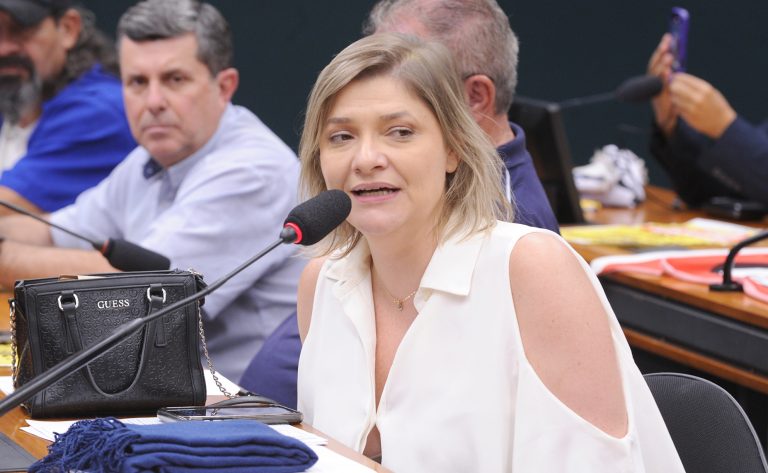 comissao-da-mulher-aprova-texto-que-proibe-vitima-de-violencia-de-pagar-pensao-ao-agressor