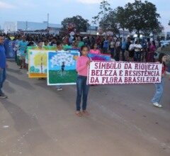 maior-distrito-do-tocantins,-luzimangues-celebra-32-anos-como-polo-de-desenvolvimento-e-exemplo-de-comunidade-unida
