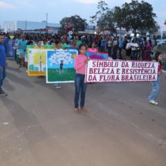 maior-distrito-do-tocantins,-luzimangues-celebra-32-anos-como-polo-de-desenvolvimento-e-exemplo-de-comunidade-unida