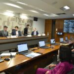 sistema-precisa-de-ajustes-para-garantir-energia-barata,-diz-relator-de-medida-provisoria