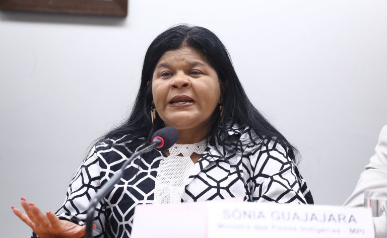 participacao-indigena-devera-ser-destaque-na-cop30,-diz-ministra