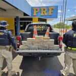 adolescente-de-17-anos-e-apreendida-com-mais-de-20-kg-de-maconha-em-bagagem