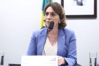 comissao-aprova-projeto-que-determina-divulgacao-on-line-de-dados-sobre-veiculos-apreendidos