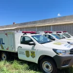 crianca-de-4-anos-morre-apos-carro-capotar e-bater-em-cerca