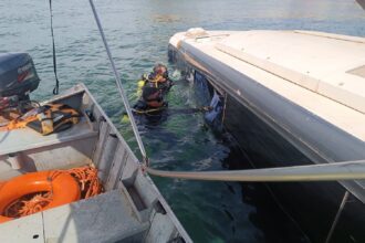 motorista-que-sobreviveu-a-queda-de-onibus-no-tocantins-e-investigado-por-homicidio-culposo