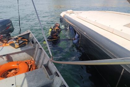 motorista-que-sobreviveu-a-queda-de-onibus-no-tocantins-e-investigado-por-homicidio-culposo