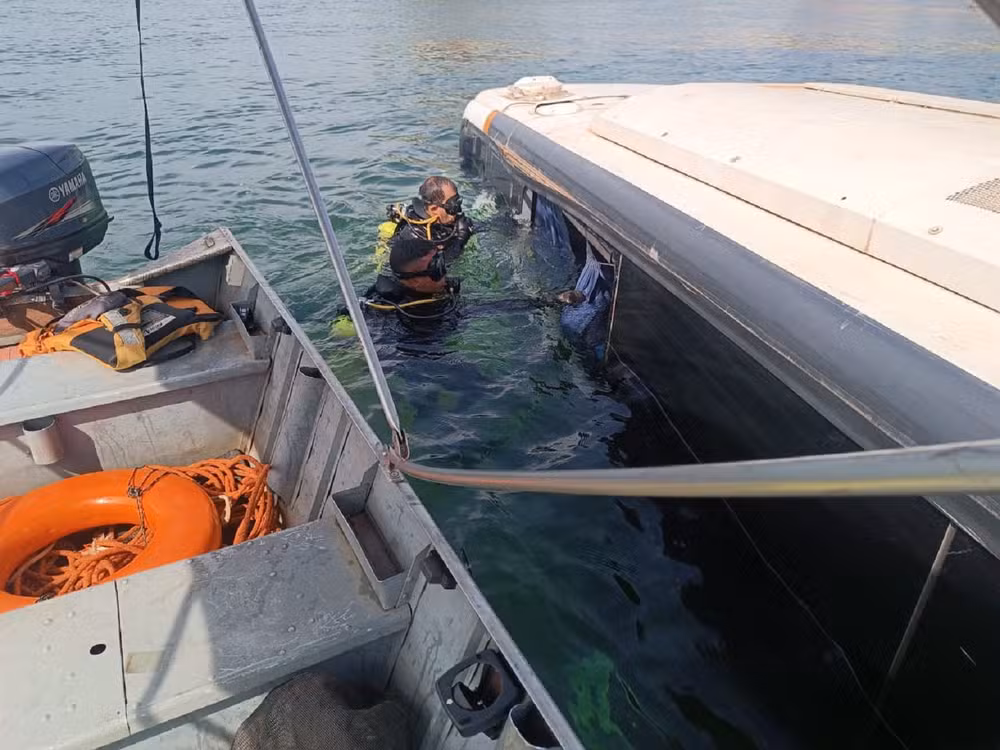 motorista-de-onibus-que-caiu-no-rio-tocantins-e-solto-sob-medidas-cautelares;-tragedia-deixa-um-morto