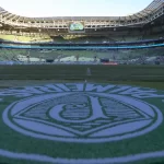 palmeiras-tem-quase-13%-de-vantagem-contra-o-flamengo-em-corrida-pelo-titulo-brasileiro