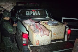 quase-350-kg-de-pirarucu-sao-flagrados-com-homens-perto-de-reserva-indigena-no-tocantins