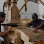 somoscoop:-um-movimento-que-transforma-o-cooperativismo-em-escolha-consciente