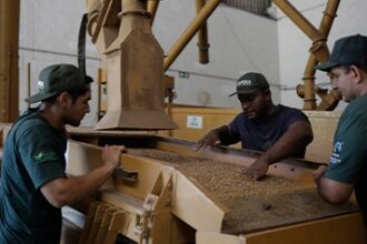 somoscoop:-um-movimento-que-transforma-o-cooperativismo-em-escolha-consciente