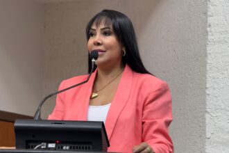 deputada-janad-valcari-solicita-reforco-no-policiamento-em-lagoa-da-confusao