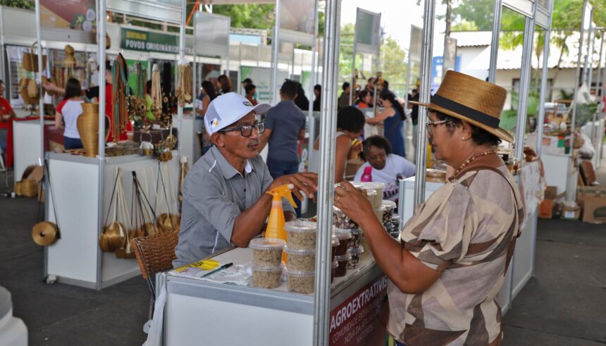 vanda-monteiro-apresenta-lei-que-institui-politica-estadual-de-agroindustria-familiar-no-tocantins