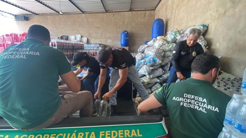 operacao-fecha-fabrica-clandestina-de-cachaca-e-apreende-dezenas-de-litros-de-bebidas-alcoolicas-sem-registro